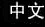 Chinese